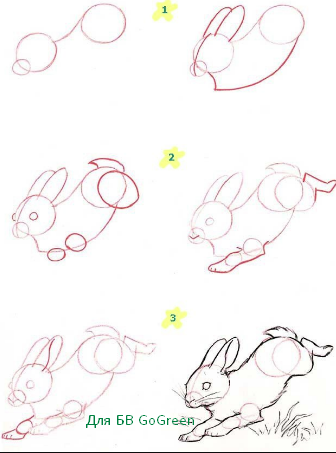 как нарисовать зайца поэтапно