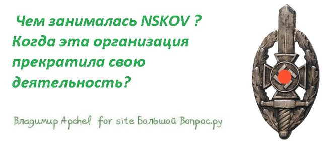 Чем занималась NSKOV ? Когда эта организация прекратила свою деятельность?