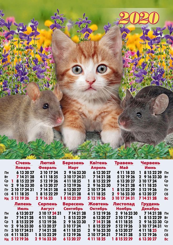календарь кот и мышь