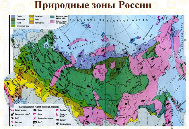Природные зоны России. 4 класс Окружающий мир Рабочая тетрадь 1 часть Ответы