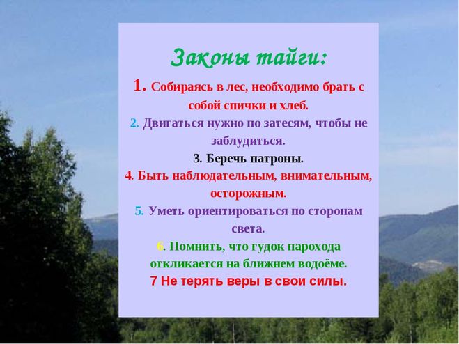 Какие слова вспомнил васютка. Законы тайги в рассказе Васюткино озеро. Законы тайги по рассказу Васюткино озеро. Законы тайги сочинение. Законы тайги 5 класс.