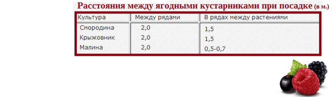 текст при наведении