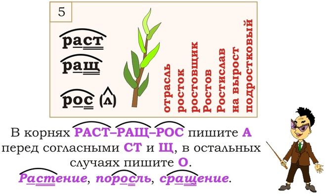 Картина корень слова и проверочное слово