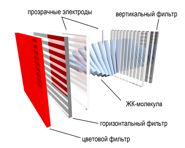 текст при наведении