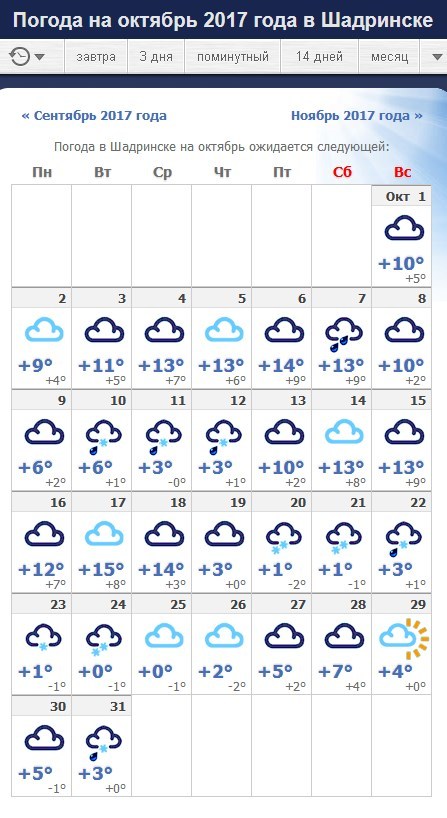 Погода г шадринск на дней. Погода в Шадринске. Погода на завтра в Шадринске. Погода в Шадринске сейчас. Погода на завтра в Тольятти.