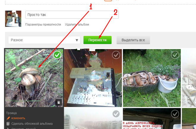 Фотографий перенести в другой. Как переместить фото в альбом в Одноклассниках. Как перемещать фотографии в Одноклассниках. Как переместить фото из альбома в альбом в Одноклассниках. Как из альбома переместить фото в Одноклассники.