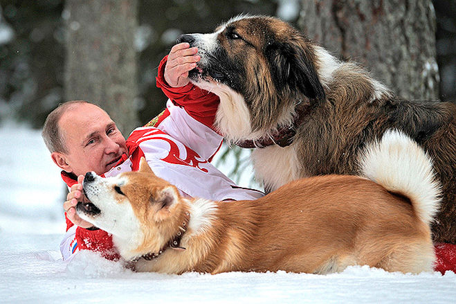 Собаки Путина; Баффи; Юмэ