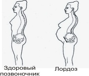 текст при наведении