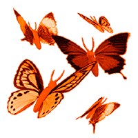 бабочки - картинки, клипарт прозрачный фон