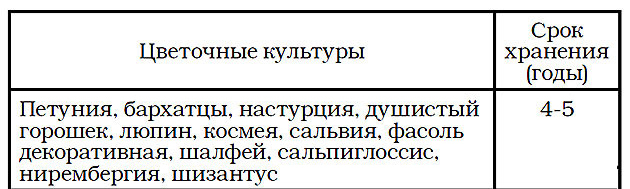 Срок годности семян бархатцев. Сколько лет можно хранить семена бархатцев?