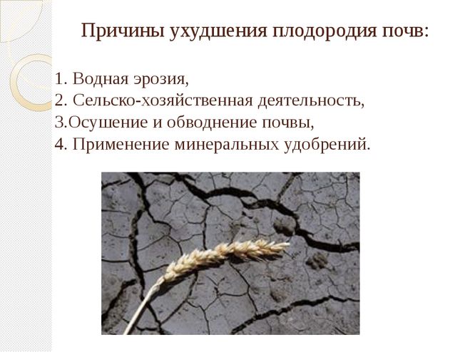Назовите причины ухудшения. Основная причина снижения плодородия почв это. Причины снижения почвенного плодородия. Причины потери плодородия почвы. Уменьшение плодородия почвы.