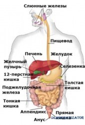 текст при наведении