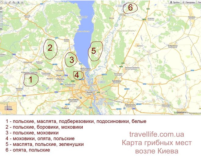 Карта грибных мест Киевской области (2016)? Где найти, посмотреть?