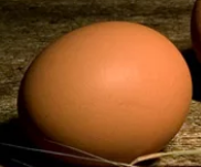 Как пишется куриное яйцо или куринное правильно