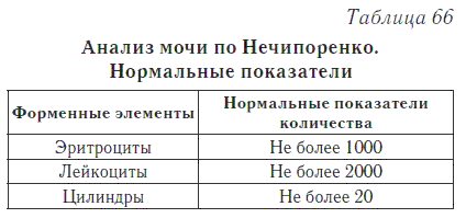 текст при наведении