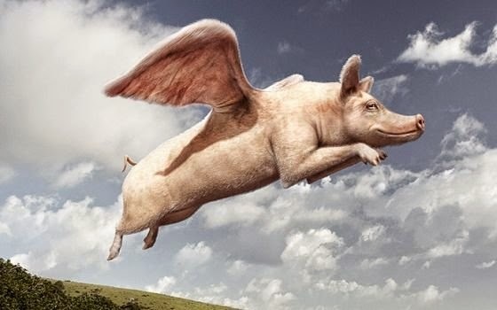 "pigs can fly"