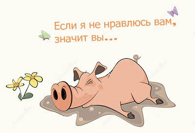 смешная картинка со свиньей