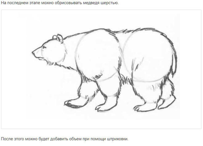 Как нарисовать белого медведя на льдине в Арктике поэтапно детям 5-9 лет