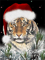Открытка с тигром на Новый год 2022