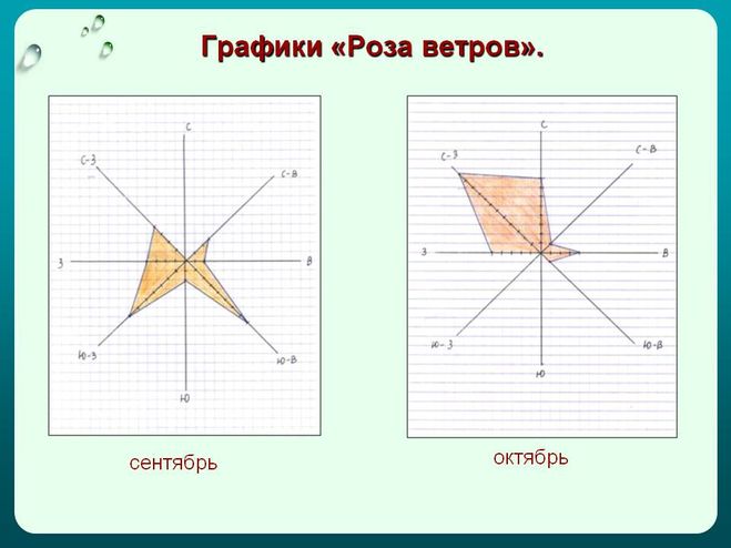 текст при наведении