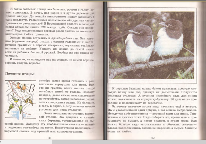 Его величество боровик читать. Книга зеленые страницы Боровик. Книгу зеленые страницы и рассказ величество и Боровик. Зеленые страницы птицы. Птицы из зелёной книги.