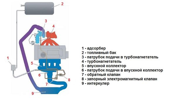 текст при наведении