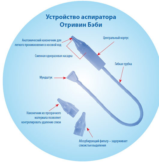 текст при наведении