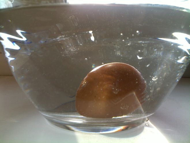 яйцо определить степень свежести в воде
