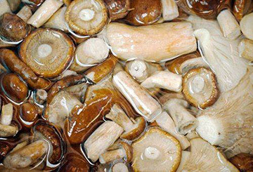 Можно ли грибы оставить на ночь в воде уже почищенные или после варки?
