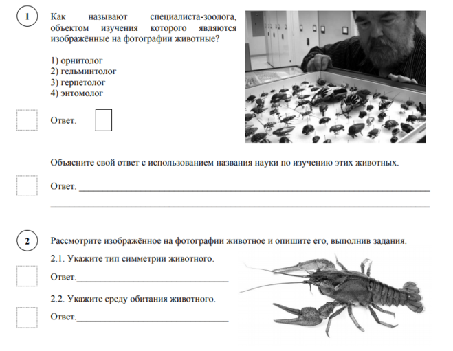 Вариант впр биология 7 класс. ВПР по биологии 7 класс 2022 животные биология. ВПР биология 7 класс 2022 год биология ответы. Биология 7 класс ВПР Зоология. Вприпо биологии 7 класс.