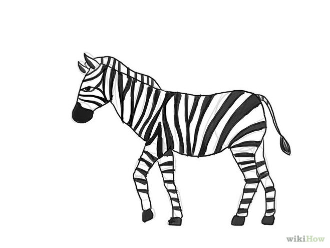 нарисовать зебру 10