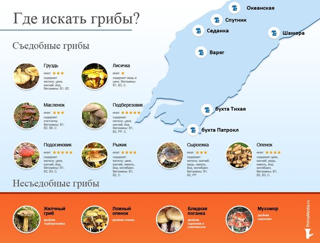 Карта грибных мест Владивостока