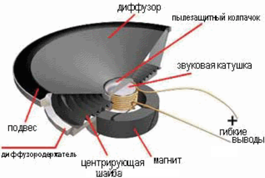 магнит в динамике