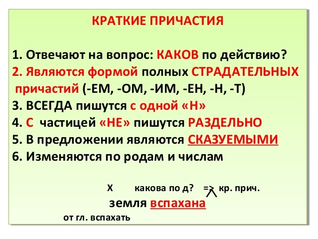 Место не занято как пишется слитно или раздельно