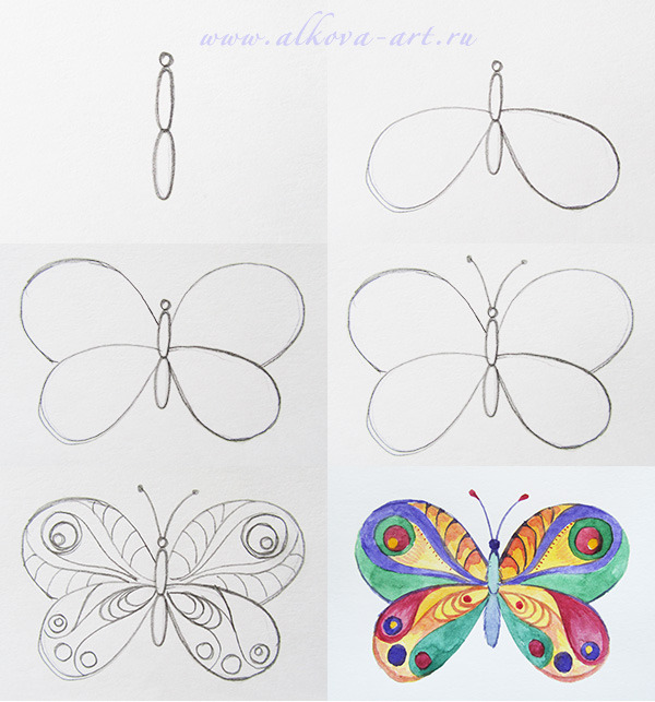 Как нарисовать бабочку поэтапно как нарисовать бабочку с ребенком как нарисовать бабочку карандашом http://www.bolshoyvo­<wbr/>pros.ru