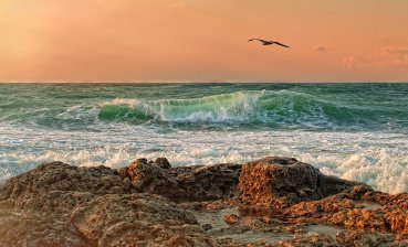 Температура воды Чёрного моря.