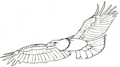 рисовать орла 5