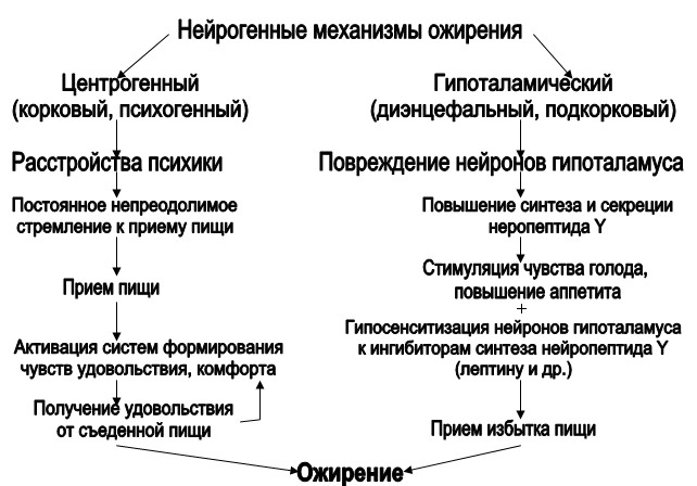 Схема