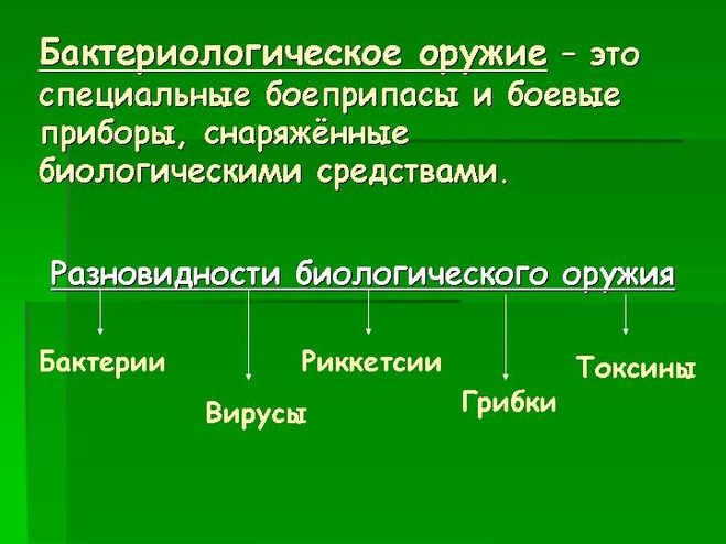 текст при наведении