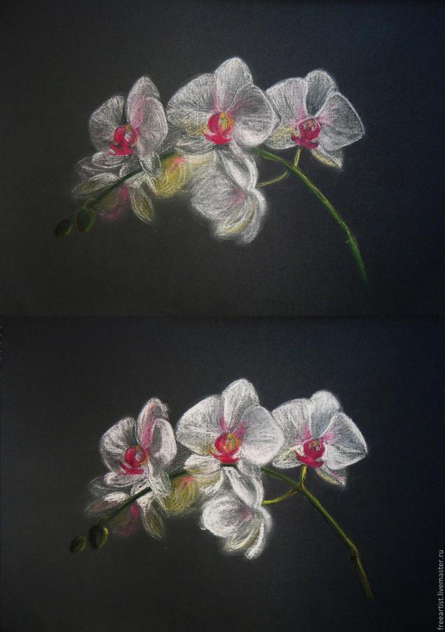 как нарисовать орхидею пастелью