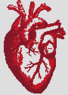 реалистичное сердце из груди с сосудами вышивка крестиком