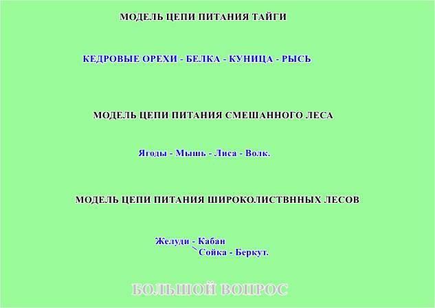 Цепь питания лиственного леса. Цепь питания лесов. Пищевые цепи в смешанных и широколиственных лесах.