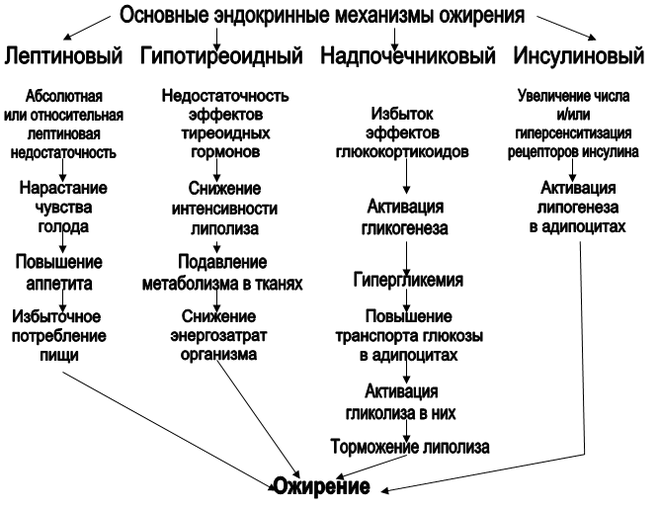 Схема