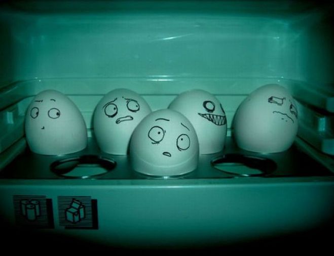 картинка яиц