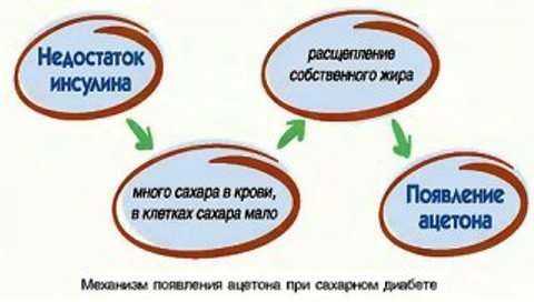 текст при наведении