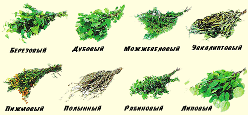 Как правильно вязать веник для бани