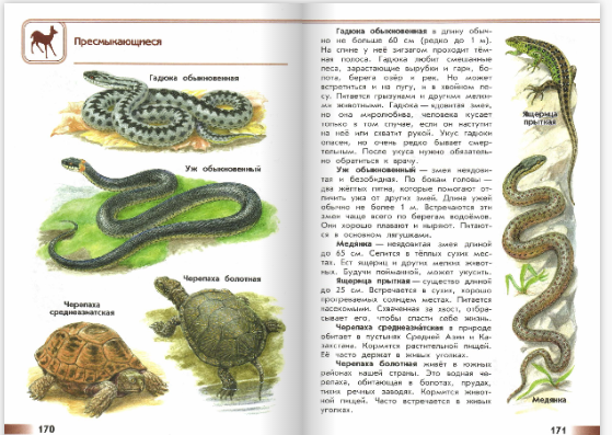 Зеленые страницы 3 класс виды животных окружающий