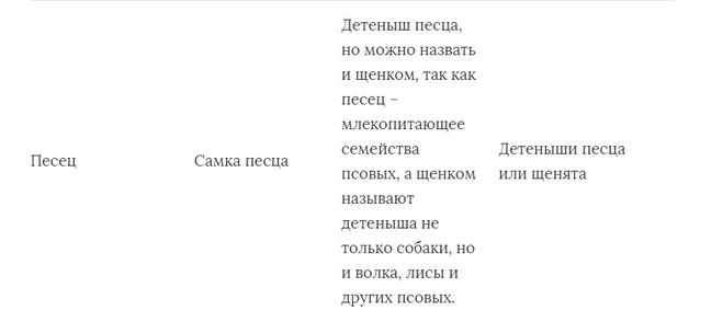 Как называется самка песца правильно. Смотреть фото Как называется самка песца правильно. Смотреть картинку Как называется самка песца правильно. Картинка про Как называется самка песца правильно. Фото Как называется самка песца правильно