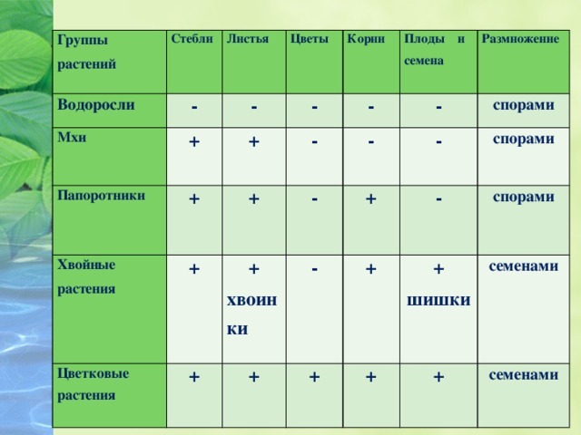 Таблица спор. Водоросли корень стебель листья размножение. Что есть у водорослей. Группа растений водоросли мхи папоротники. Группы растений таблица.