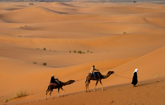 путешествие по пустыне